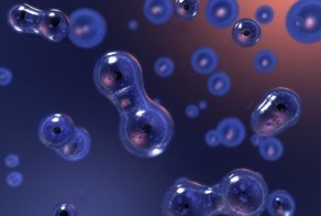 Впервые учёные разделили воду на две разные жидкости