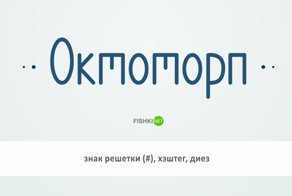 20 заковыристых слов, которые можно использовать в разговоре, чтобы казаться умнее