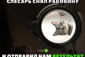 Картинки с надписями для настроения