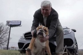 Бизнесмен, создавший искусственные собачьи тестикулы, заработал на них миллионы