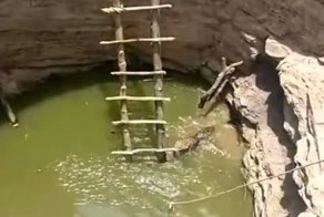 В Индии  спасли леопарда, упавшего в глубокий колодец