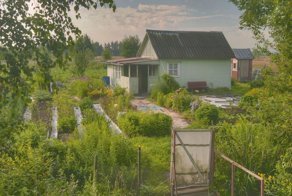 Омич нашёл бывшего своей жены, копая картошку