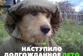 Картинки с надписями для настроения