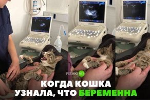 Картинки с надписями для настроения