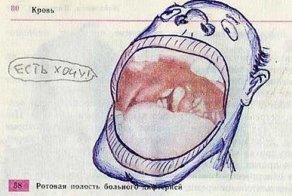 А вы рисовали в учебниках?