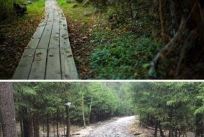 Помост на месте лесной тропинки своими руками