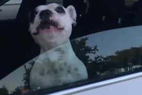 Кубики на субботу!