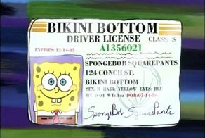 Спанч Боб Сквэр Пэнтс: Интересные факты