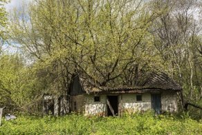 РПЦ предложила план восстановления заброшенных поселений