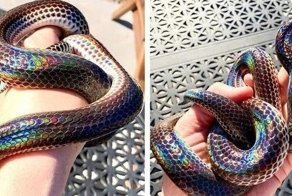 20 фотографий, доказывающих, что в мире постоянно происходят удивительные вещи