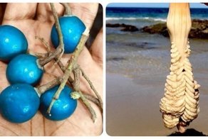 22 странные находки, которые оставили после себя массу вопросов