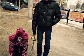 Даже из психбольниц иногда отпускают на прогулки