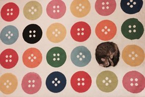 25 идеальных фотографий, показывающих как должен выглядеть настоящий рай перфекциониста