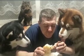 Скромный ужин с домашними питомцами