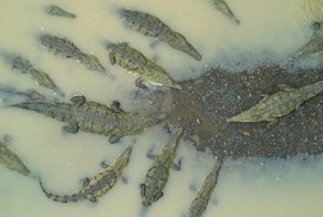National Geographic подводит итоги конкурса на лучшего трэвел-фотографа