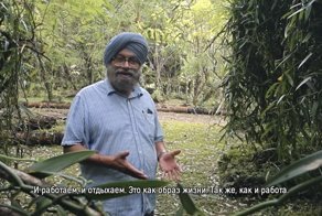 Как горячие девочки выращивают ваниль в Ниуэ