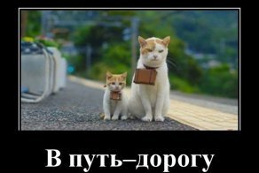 Свежая подборка демотиваторов, которые поднимут вам настроение