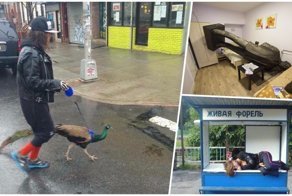 25 странных фотографий, которые вызывают много вопросов