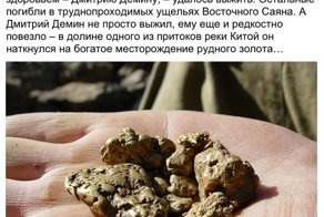 Тайна золотой жилы сибирского леса