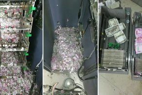 В Индии крысы уничтожили более миллиона рупий в банкомате
