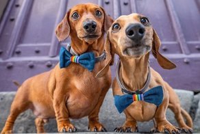 11 фотографий о любви, наполненных глубоким смыслом
