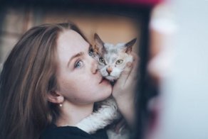 Местами лысый пушистый монстр: история уникальной кошки Симоны