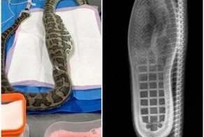 Удивительные вещи