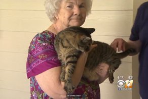 Старушка думала, что кот зовет её на прогулку, но всё было куда серьезнее!