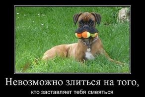 Свежая подборка демотиваторов, которые поднимут вам настроение
