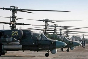 Чудеса боевой генетики: как «Черная акула» превратилась в «Аллигатора»