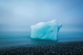 Победители фотоконкурса The Nature Conservancy - 2018
