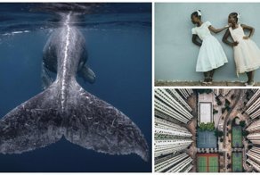 Победители конкурса National Geographic Travel Photographer of the Year 2018