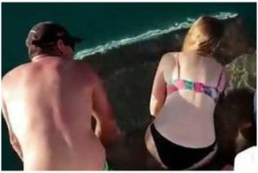 Акула утащила девушку в воду при попытке покормить ее с рук: видео