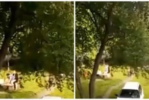 И вовсе не с кофе: в Сибири парочка начала день с секса во дворе