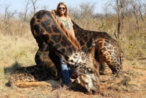 Американка, застрелившая редкого жирафа, возмутила Интернет