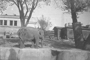 Москва, Саратов, 1936-1938