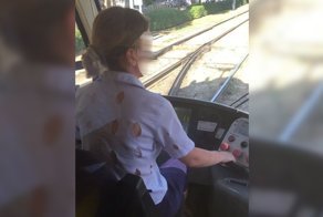 Что на Кубани происходит? Им в воду что-то подмешивают, что ли?