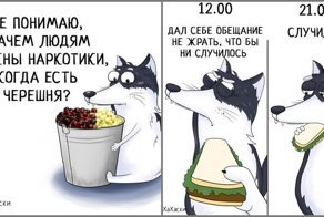 Забавный мультяшный хаски, в котором вы наверняка узнаете самого себя