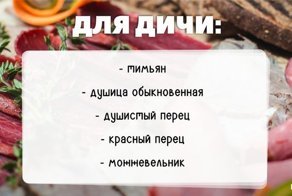 Как правильно использовать приправы и специи
