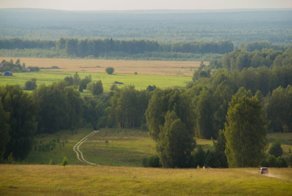 Родные просторы: несколько характерных русских пейзажей