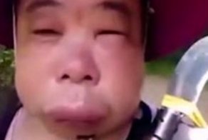 Чем обернулась для китаянки попытка украсть соты из улья