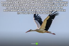 Картинки с надписями для настроения