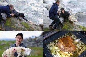 Немного черного юмора