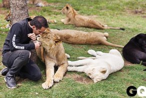 BlackJaguarWhiteTiger: Благородные Стражи Больших Кошек