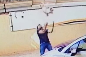 В Бразилии мужчина поймал упавшую с девятого этажа собаку