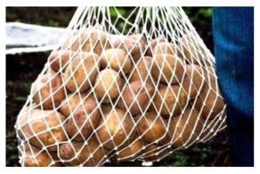 5 трендов родом из СССР