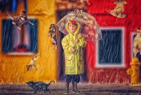 Английские идиомы в иллюстрациях Тары Лешер