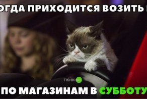 Подборка автомобильных приколов