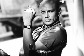 Бесподобный лысый