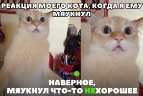 Картинки с надписями для настроения